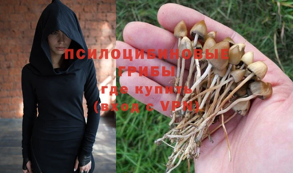 прущий лед Верея