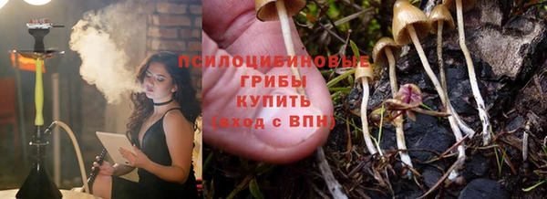 МДПВ Верхний Тагил
