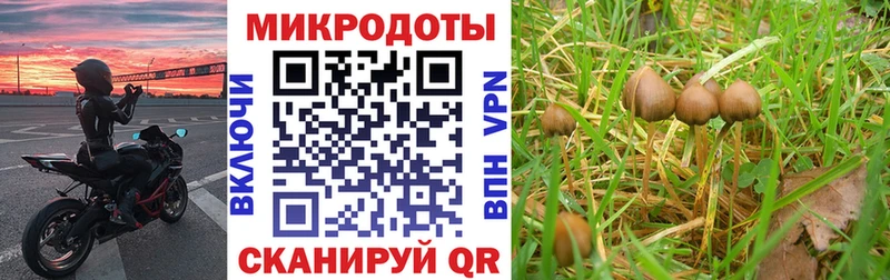 Галлюциногенные грибы прущие грибы Мыски