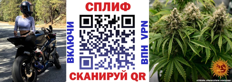 Конопля конопля Мыски